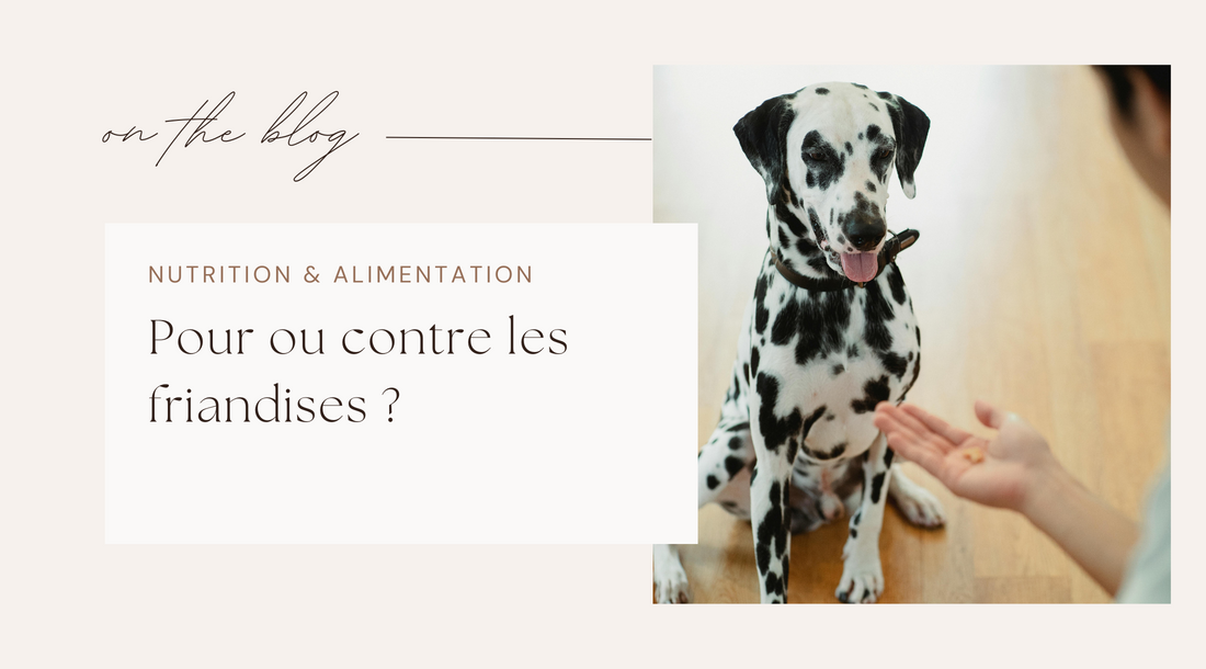 Pour ou contre les friandises ?