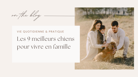 Les 9 meilleures races de chiens pour les familles avec enfants