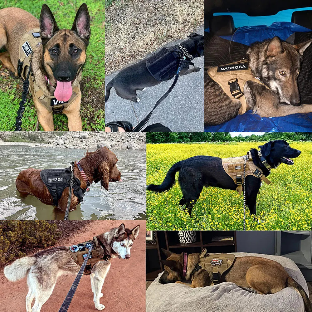 TacticalHarness™ - Harnais pour Chien Tactique