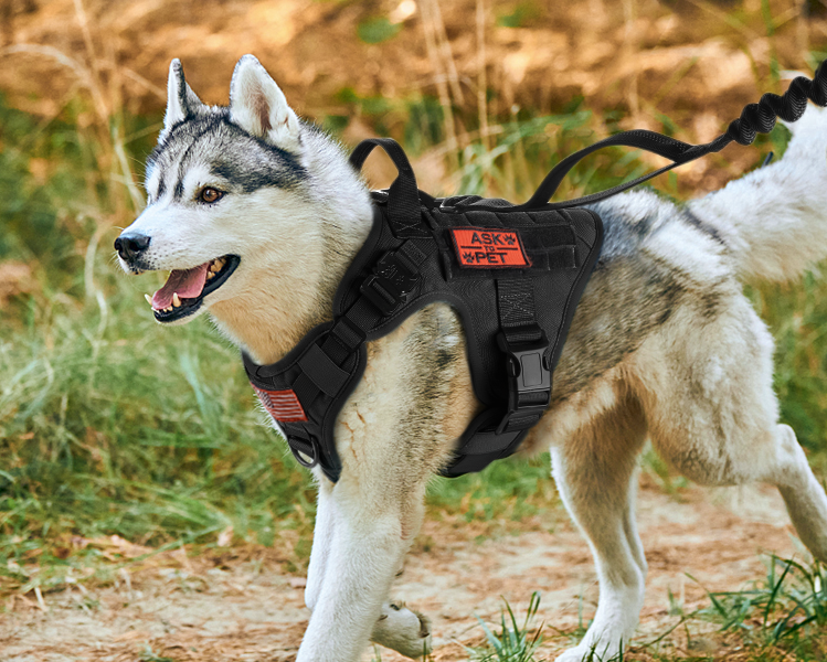 TacticalHarness™ - Harnais pour Chien Tactique